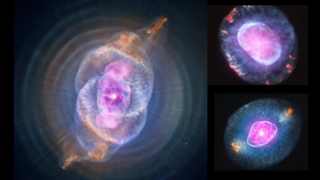 An array of planetary nebula as seen in X-ray and optical light.