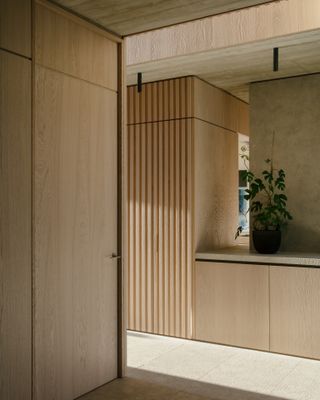 A passage way with a wooden console, a potted plant and a wooden door.