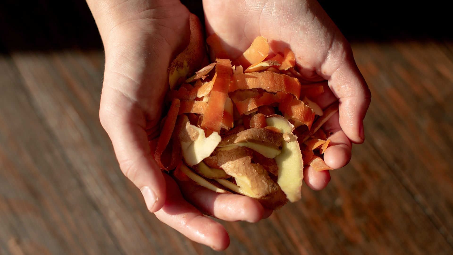 Person holding vegetable scraps