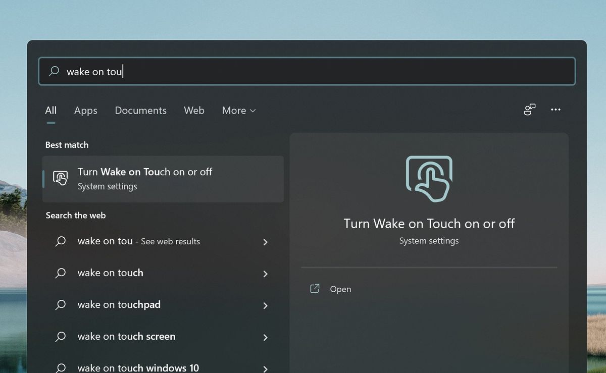 Windows 11 Wakeontouch Hidden