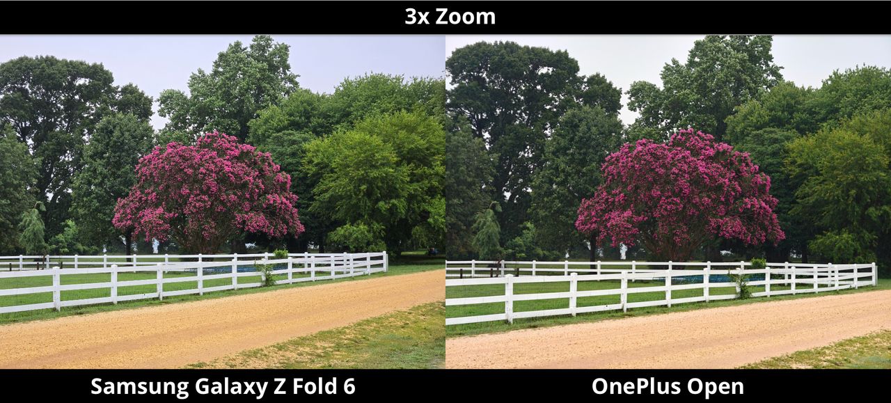 Galaxy Z Fold 6 vs. OnePlus Open - Pink Tree - 3x