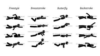A chart detailing all the different swimming strokes for beginners including breast sroke and front crawl