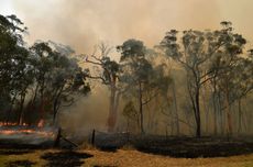 Sydney-Fires-GettyImages.jpg