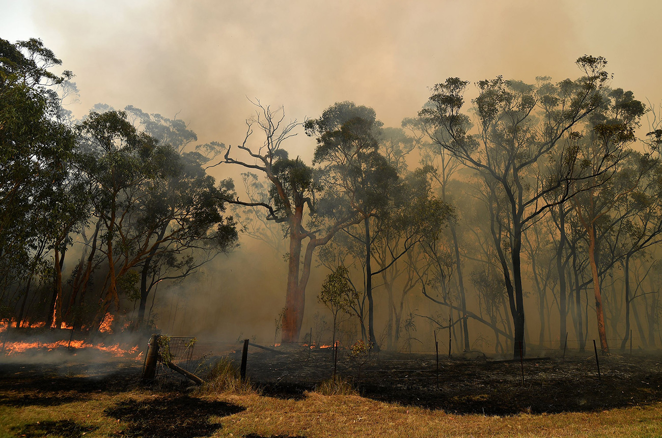 Sydney-Fires-GettyImages.jpg