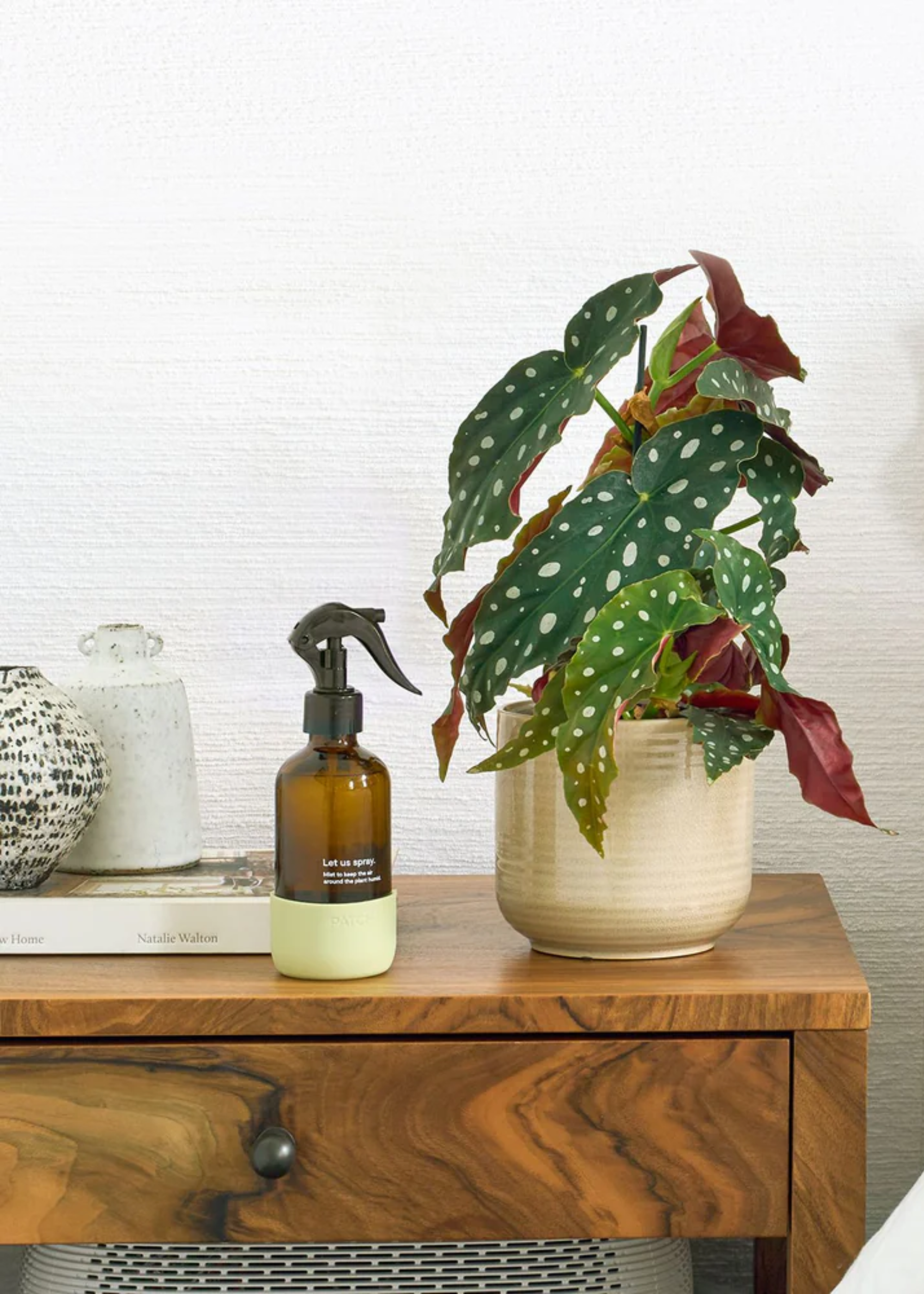 A potted begonia with a misting bottle on a bedside table