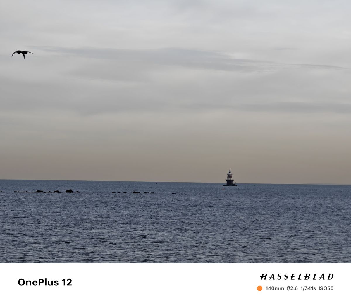 OnePlus 12 camera image samples