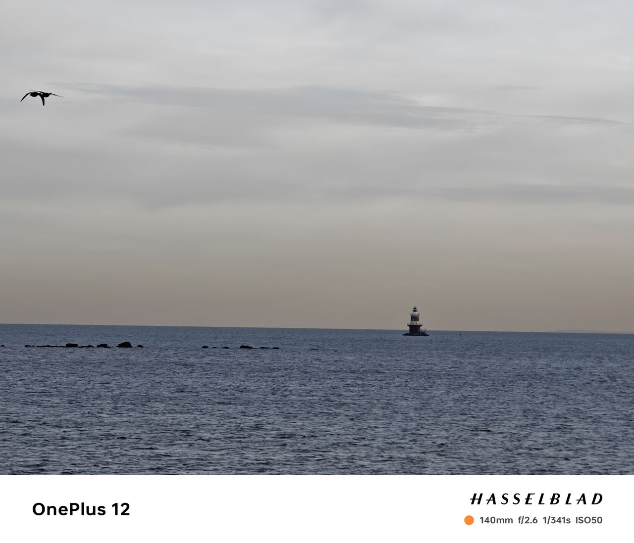 OnePlus 12 camera image samples