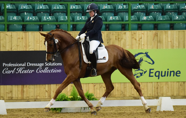 Alice Oppenheimer &amp;amp; Tantoni Sir Soccrates
