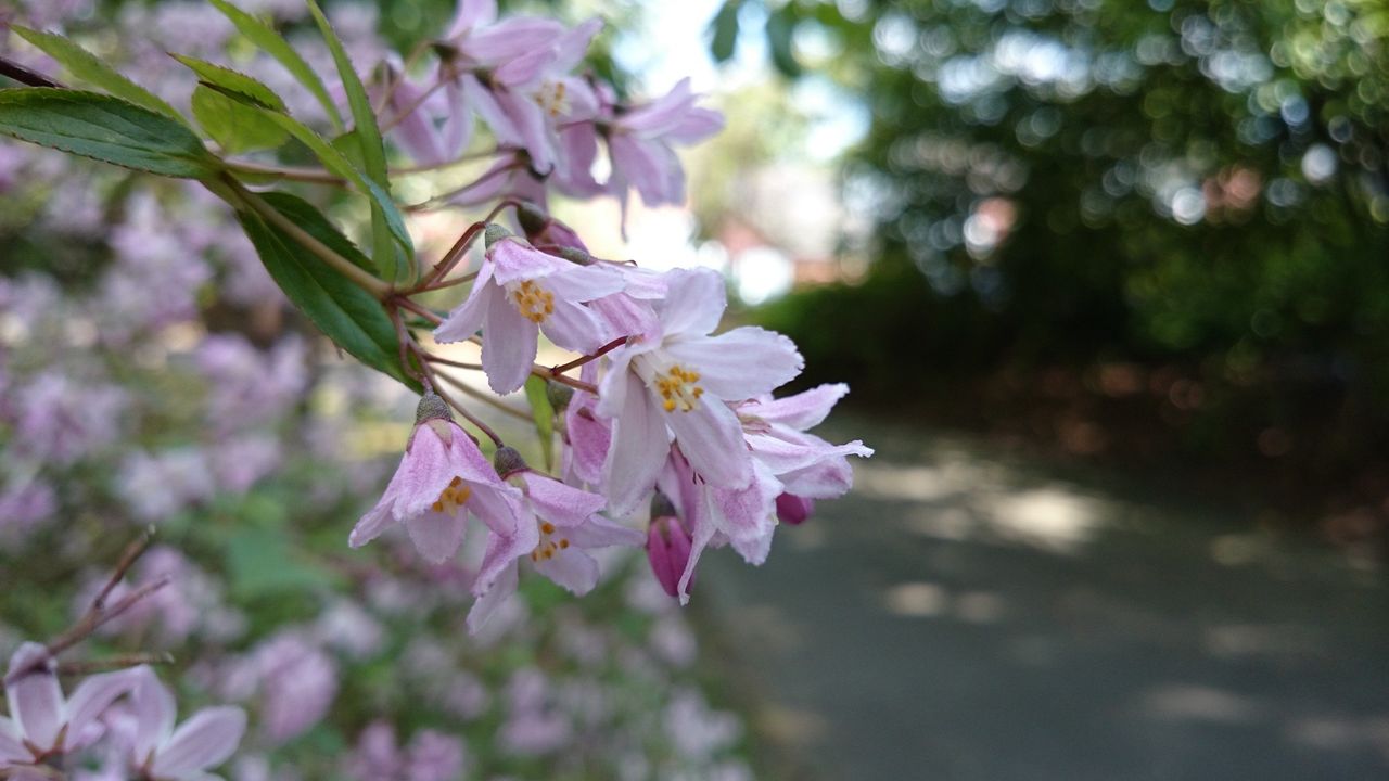 Sony Xperia Z2 camera sample