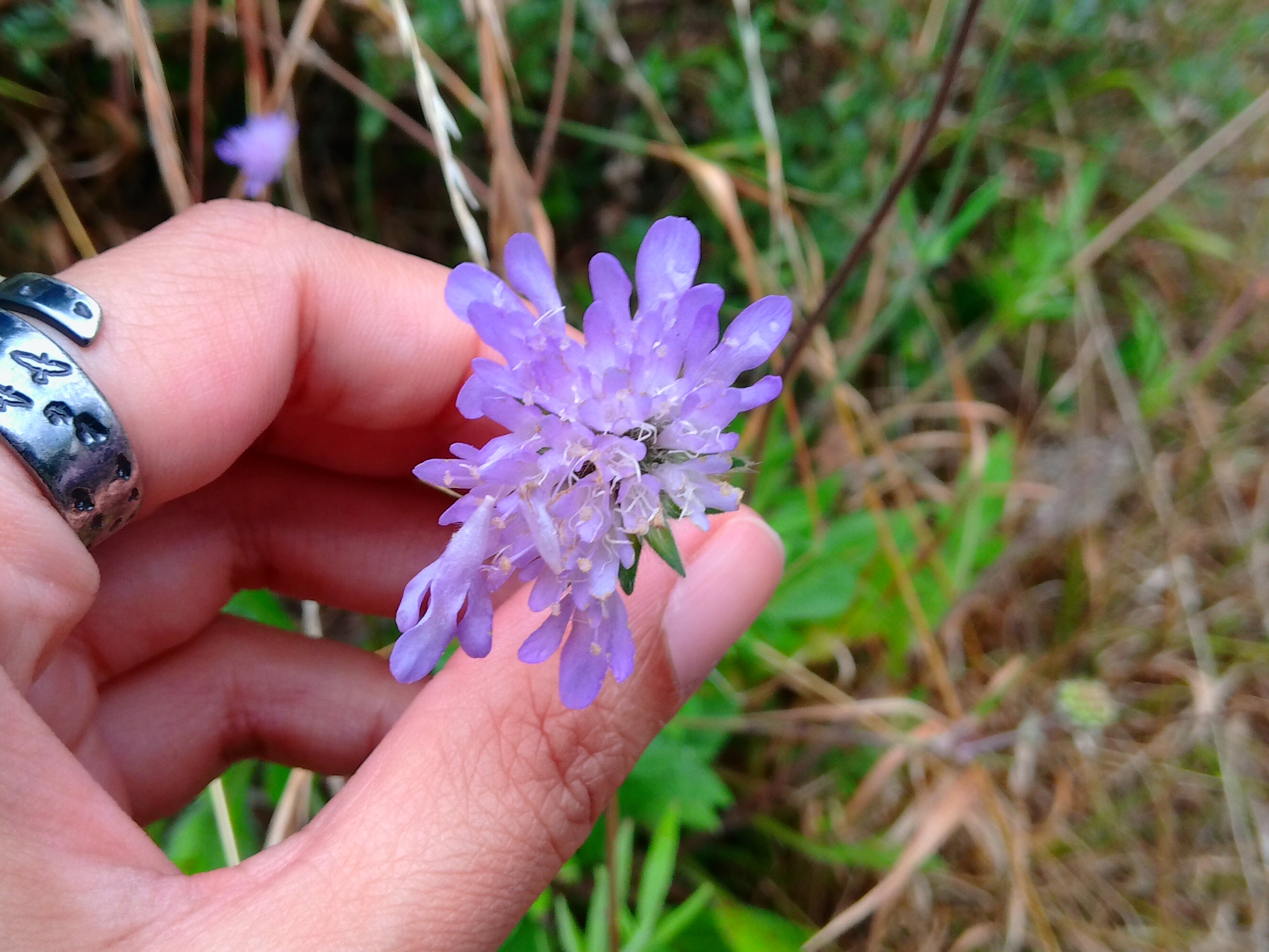A photo taken on a Kodak PIXPRO C1 compact camera