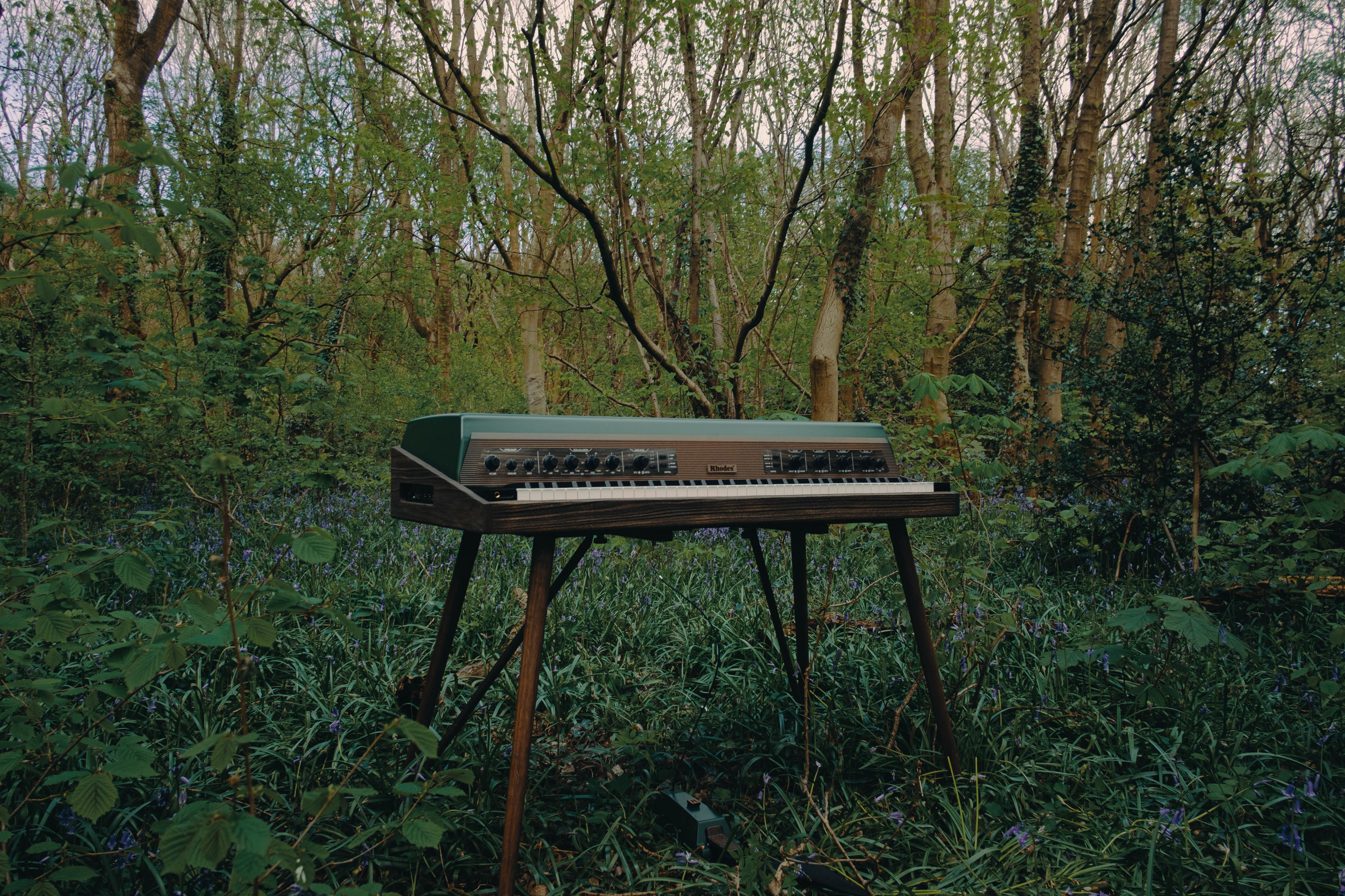 Rhodes piano in forest