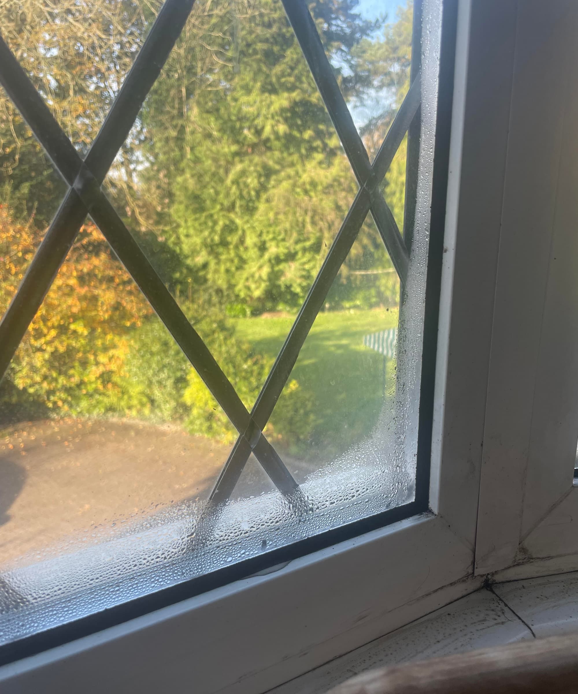 Diamond lead planed windows with condensation in the corners