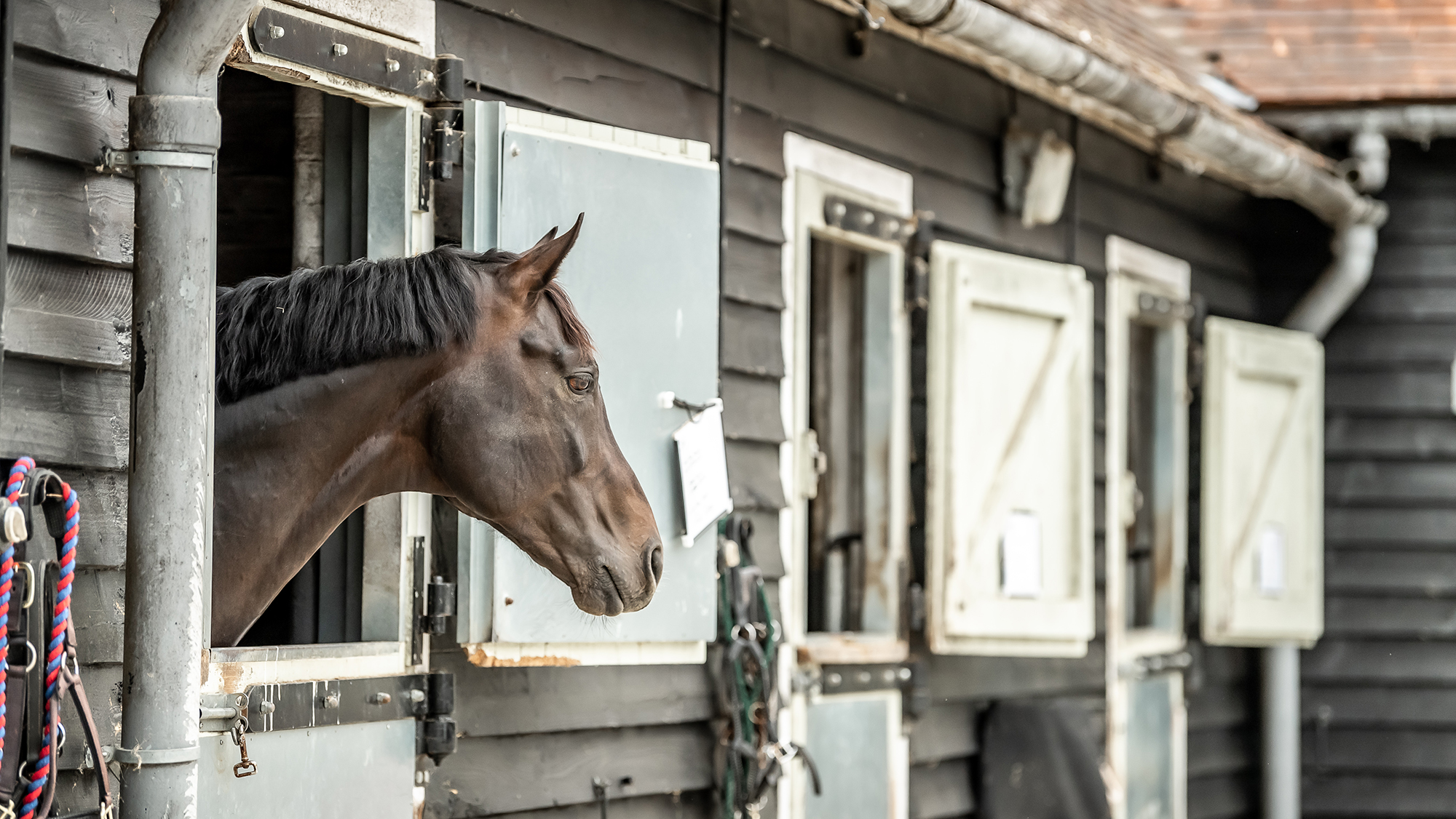 Stables