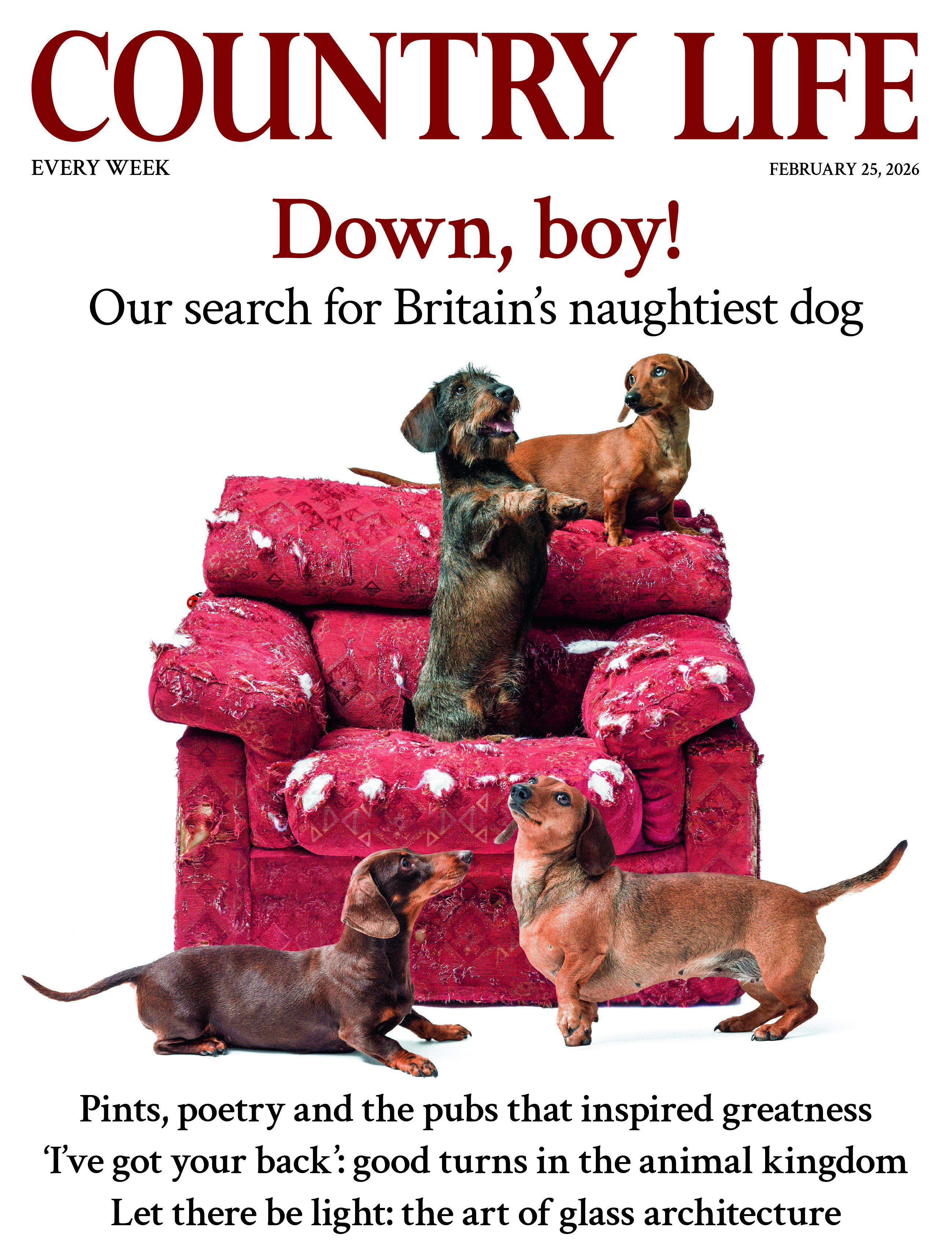 Cover of Country Life February 25, 2026 