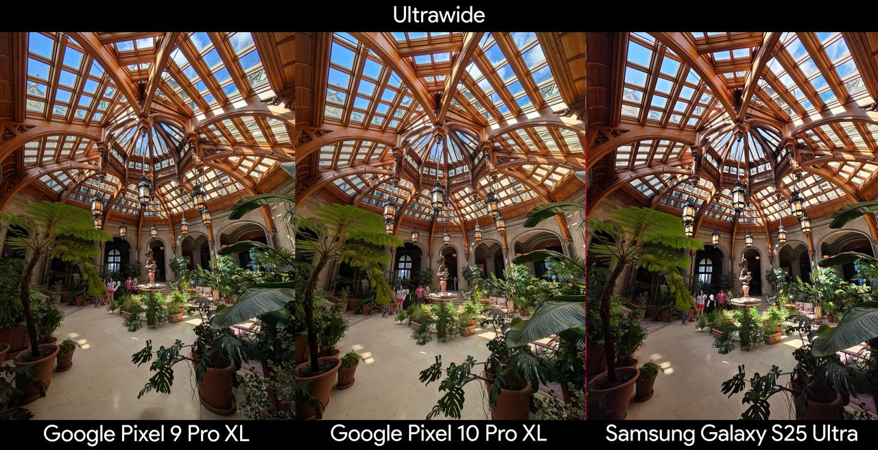 Comparing an ultrawide photo of a room full of plants between the Google Pixel 10 Pro XL, Google Pixel 9 Pro XL, and Samsung Galaxy S25 Ultra