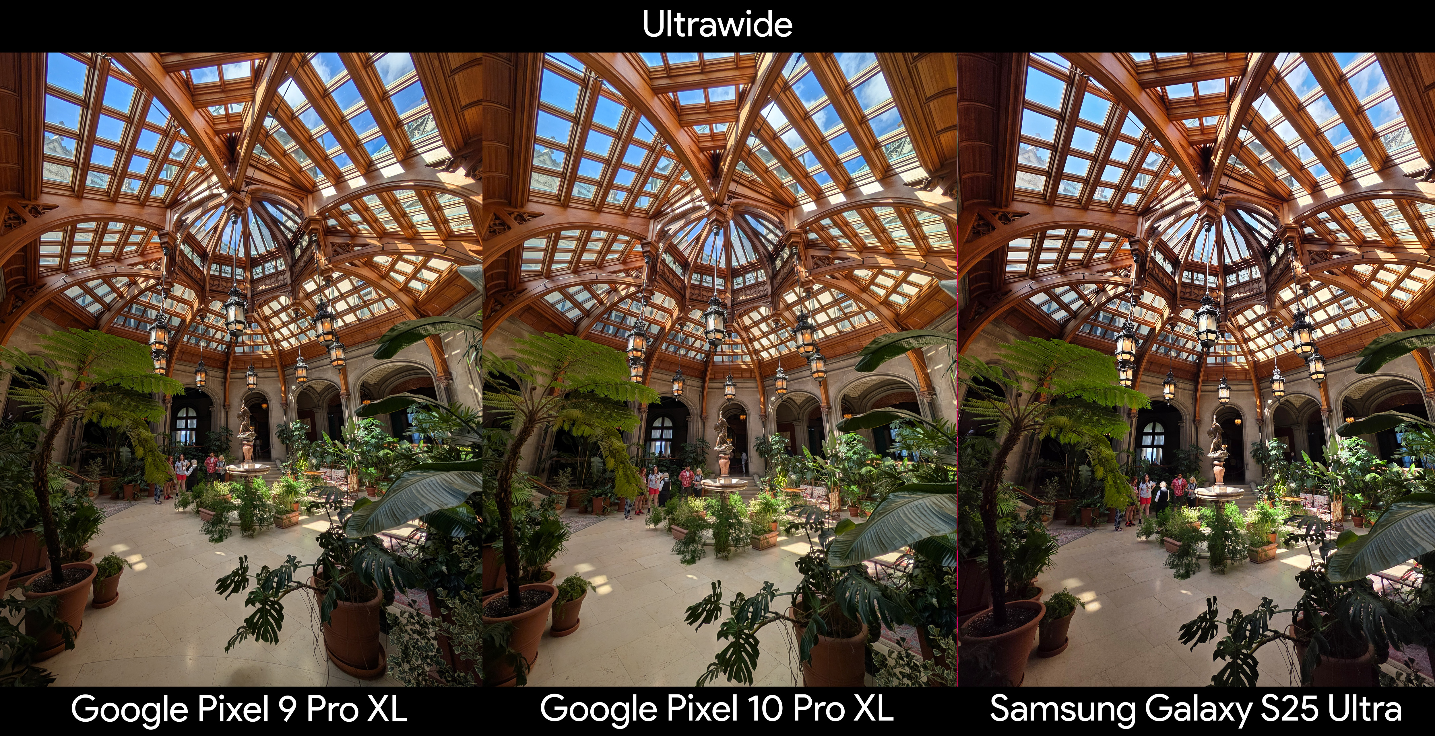 Comparing an ultrawide photo of a room full of plants between the Google Pixel 10 Pro XL, Google Pixel 9 Pro XL, and Samsung Galaxy S25 Ultra