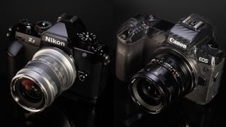 Thypoch Simera lenses on Canon R and Nikon Z camera bodies