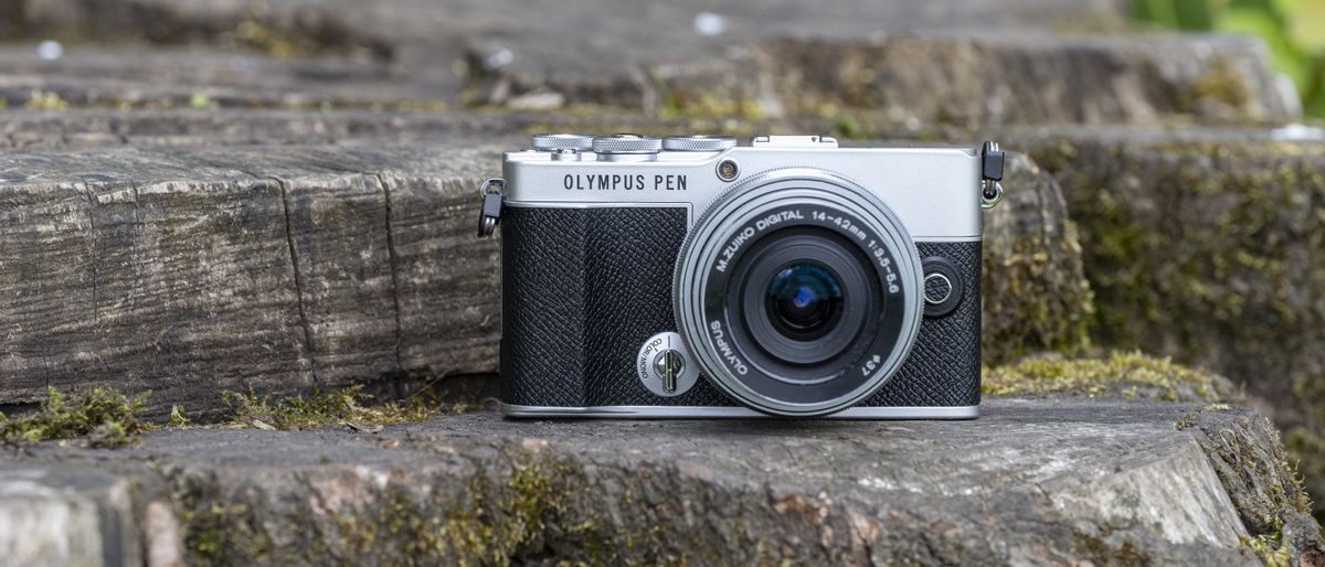 The Olympus PEN-EP7 mirrorless camera on a tree trunk