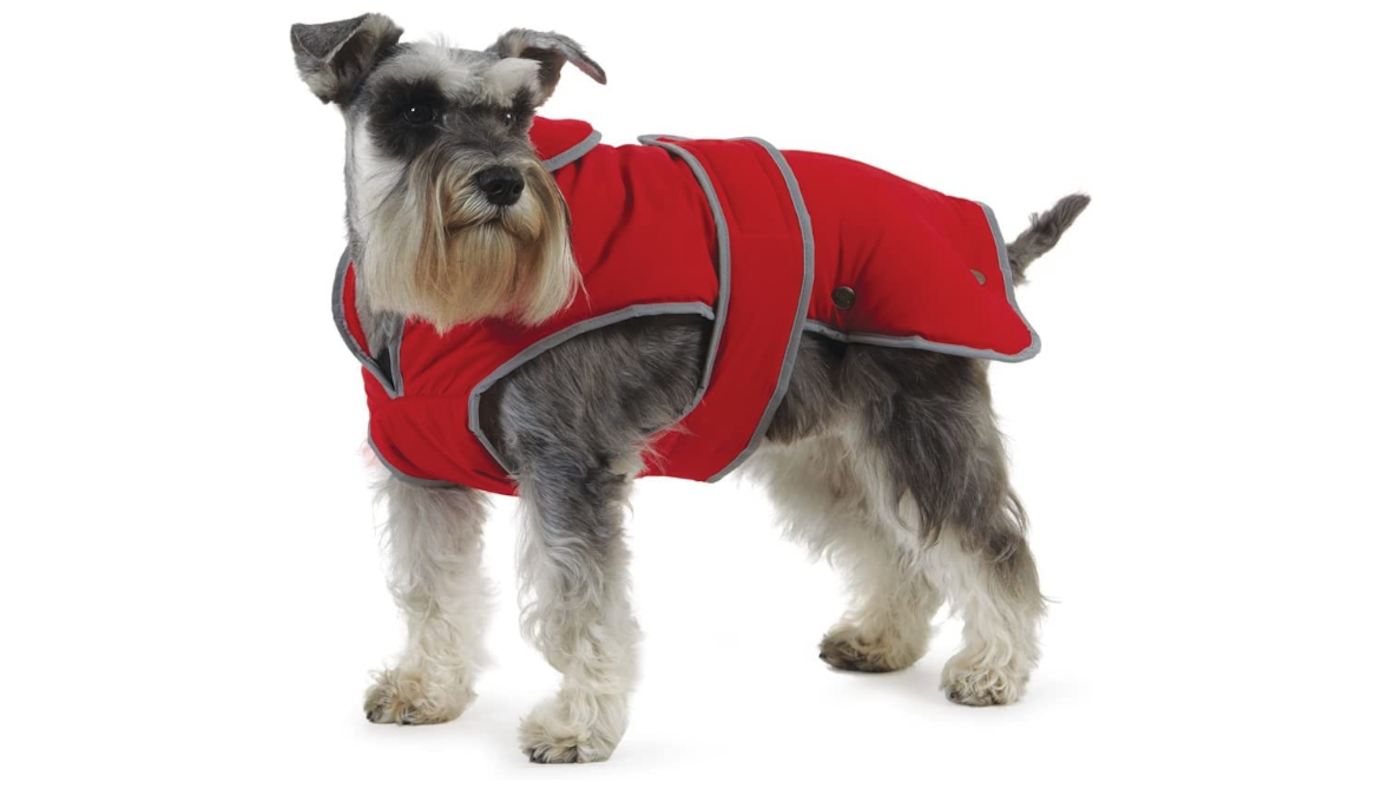 Ancol Stormguard coat for dogs