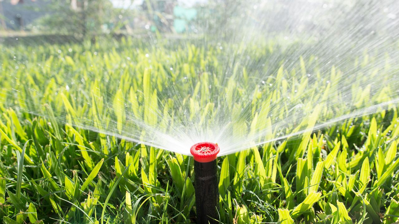 sprinkler in lawn