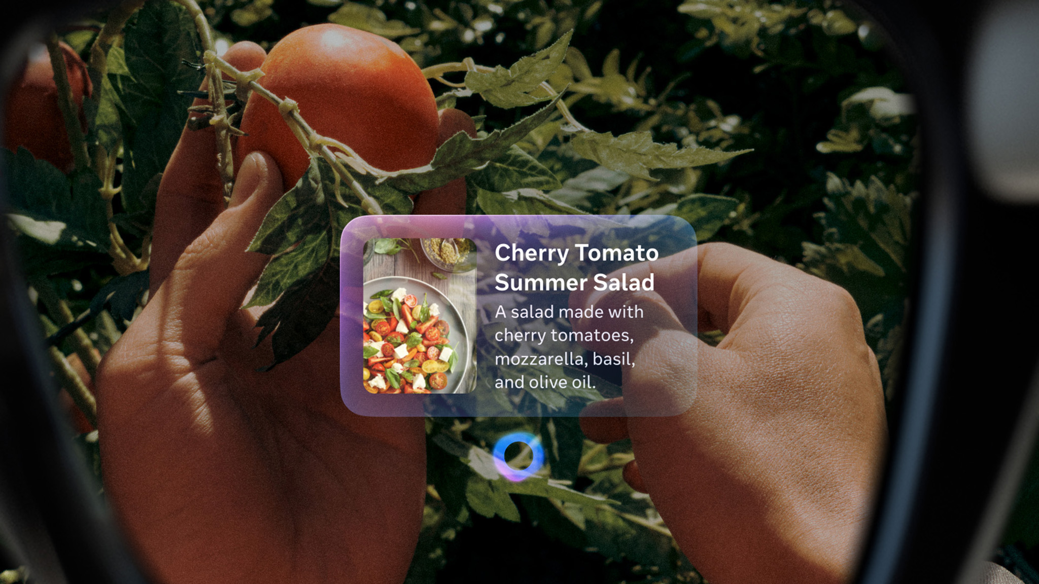 An official image of Meta Ray-Ban Display Glasses' display showing a Meta AI prompt about a tomato recipe