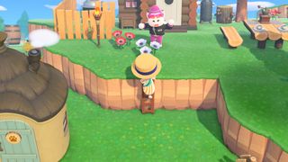 Animal Crossing: New Horizons ladder