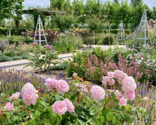 Davines Village garden design by Tommaso Del Buono