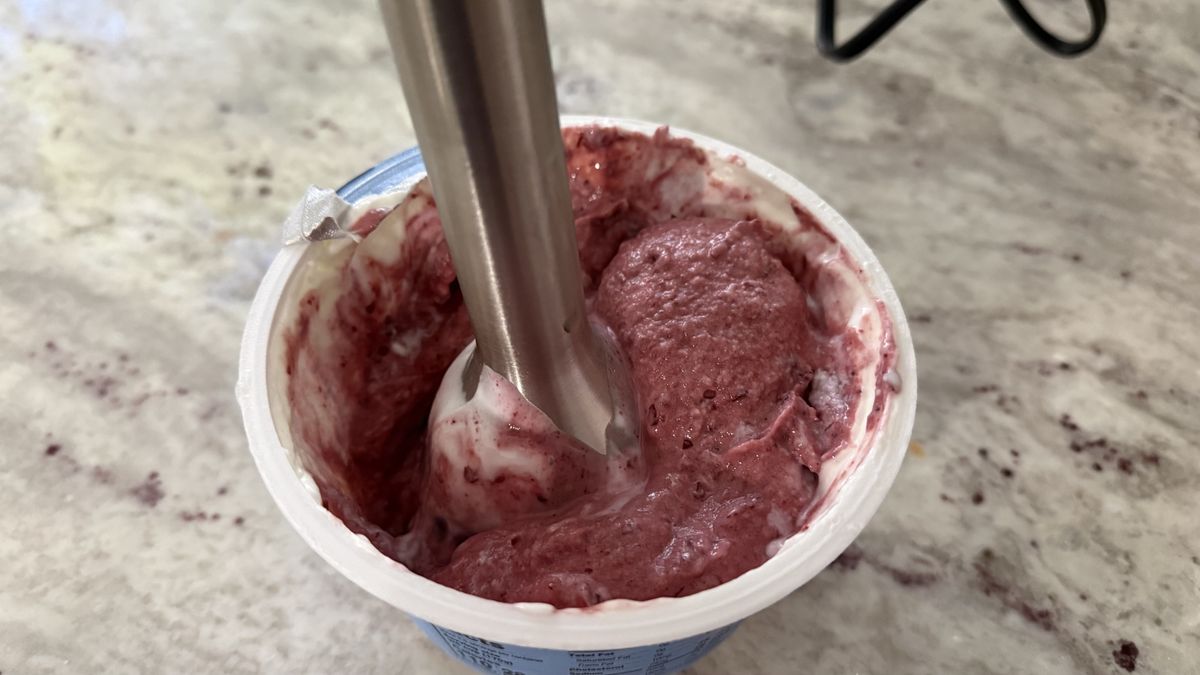Ninja Power Duo Immersion Blender with Whisk making frozen yogurts