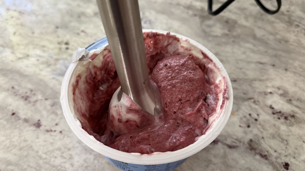 Ninja Power Duo Immersion Blender with Whisk making frozen yogurts