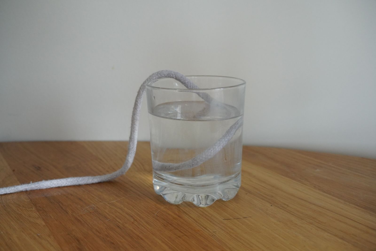 We Tried the DIY Self-Watering Planter Hack Using Rope | Livingetc
