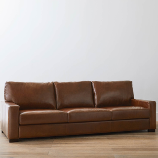 leather sofa