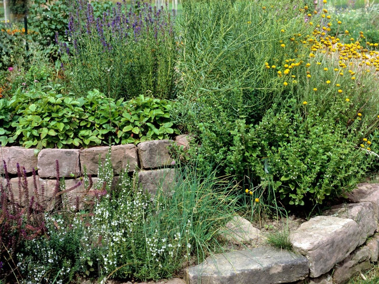 An Island Flower Bed Full Of Plants And Flowers