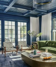 blue living room with blue mural on the ceiling
