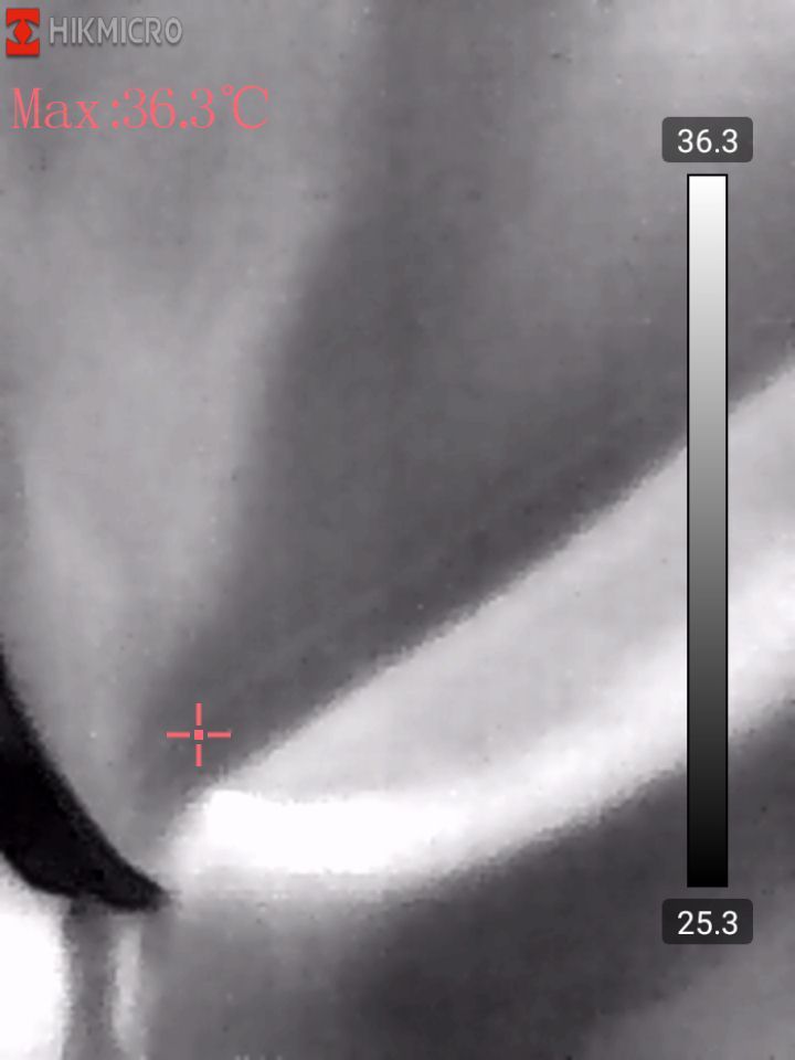 hikmicro mini2 thermal image sample