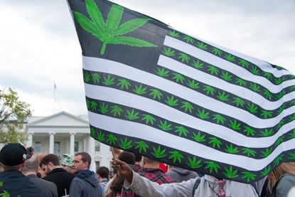 Protesters rally in support of the legalization of marijuana in front of the White House in Washington, D.C., on April 2, 2016.
