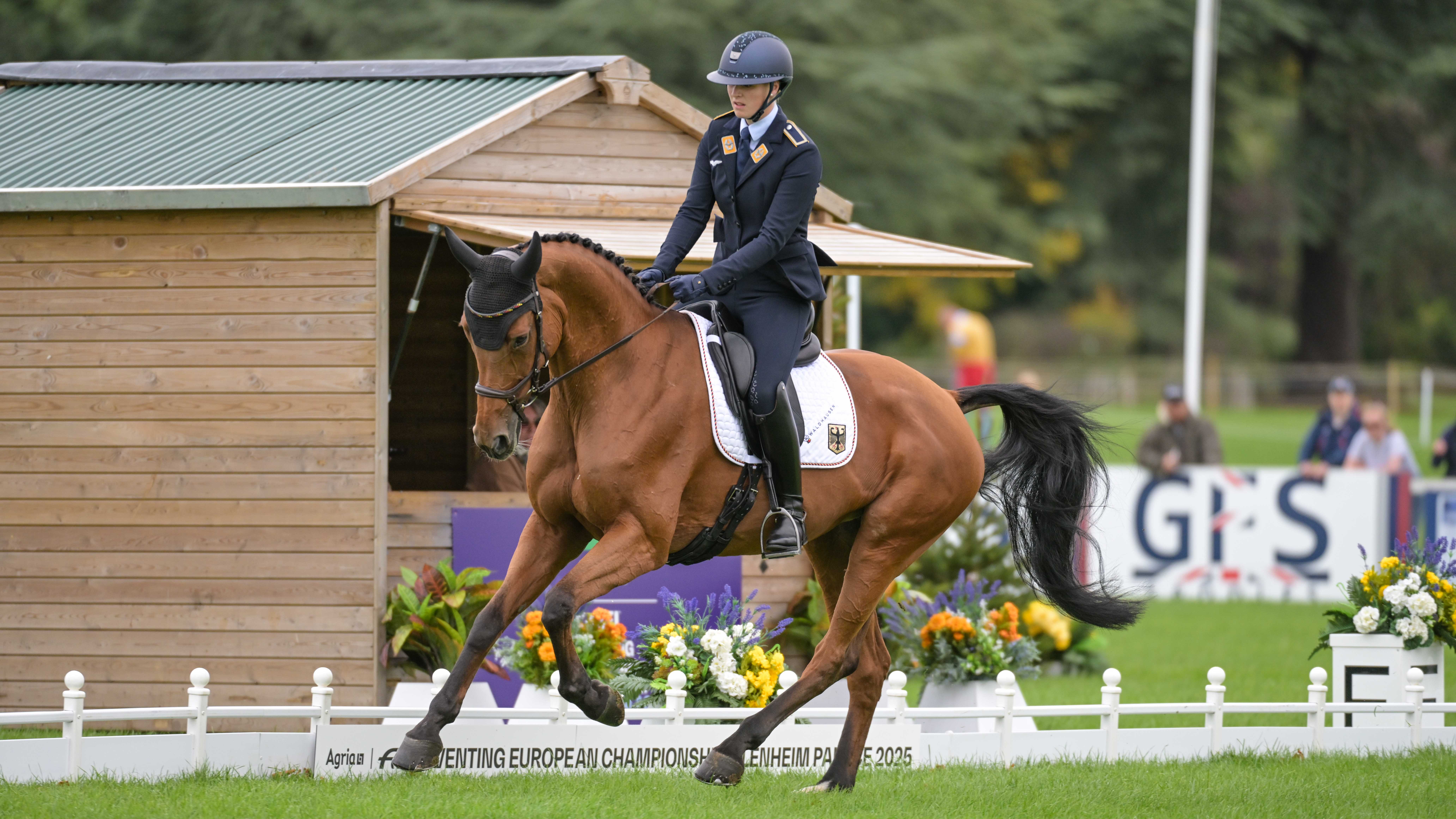 Blenheim European Championships dressage: Libussa L&amp;uuml;bbeke and Caramia 34