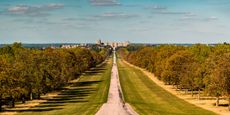 Windsor Great Park - The Long Walk.