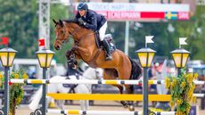 Royal Windsor Horse show showjumping