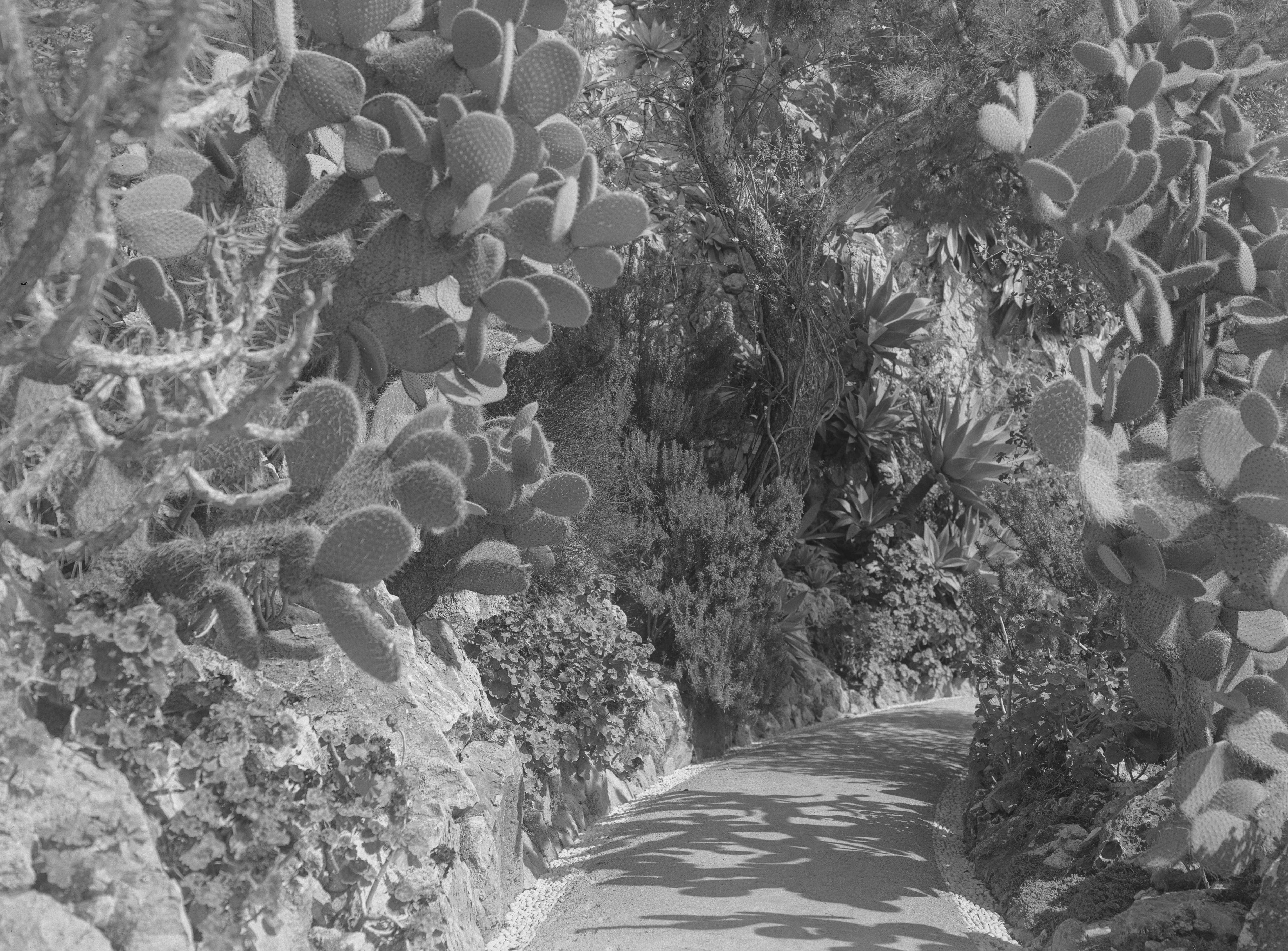 Geoffrey Roland Ballance's photographs of Monaco