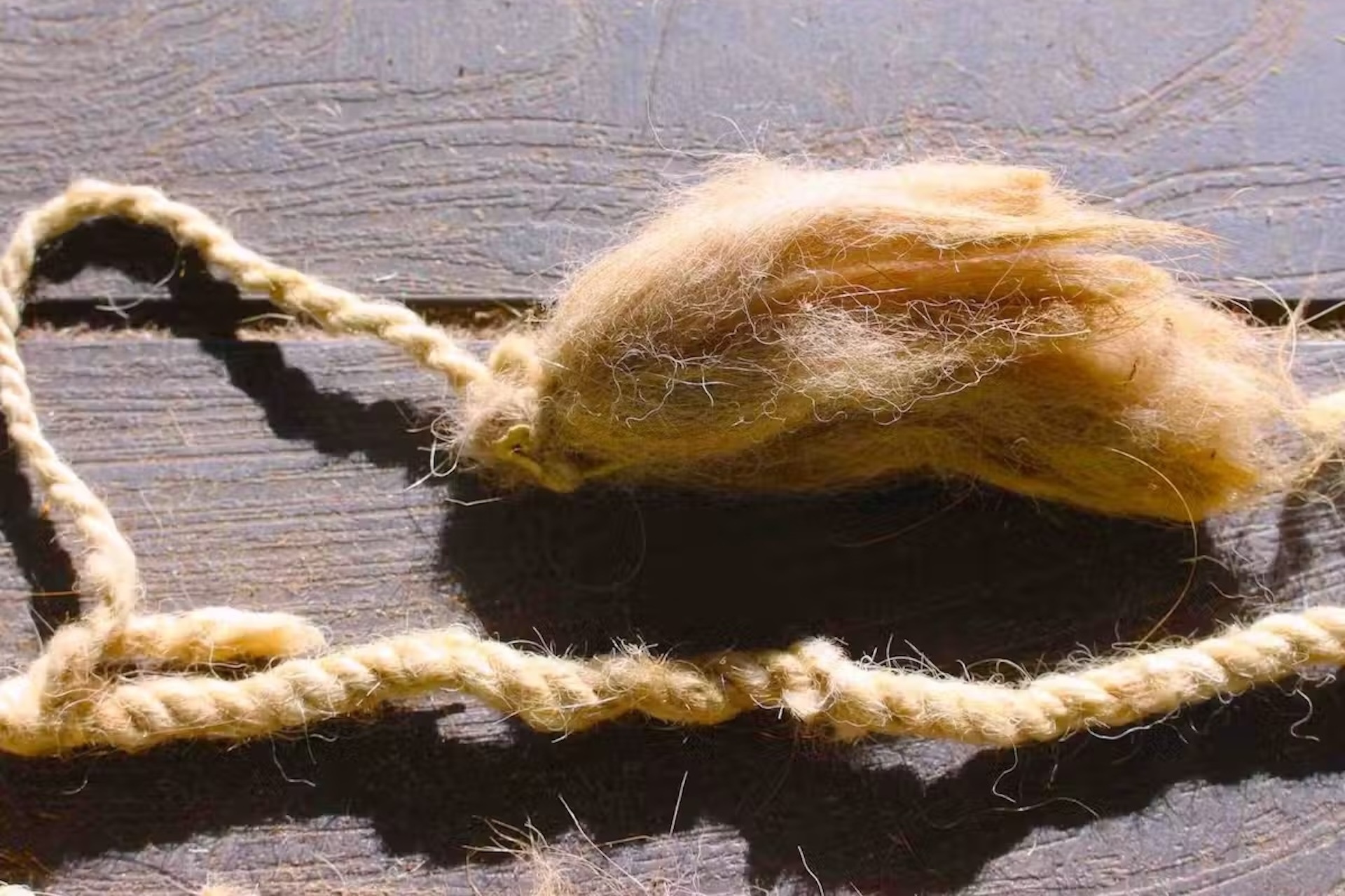 a close-up of a knotted rope with a tassel at the end