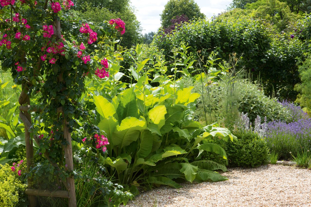 Garden borders: 25 ideas for the perfect planting scheme | Real Homes