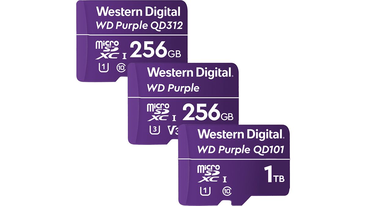Western Digital Purple 10 To