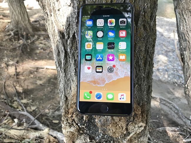 The iPhone 8 Plus&rsquo;s glass casing is very reflective, but the LCD screen shines through clearly.