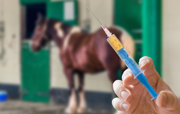 Injection2.jpeg