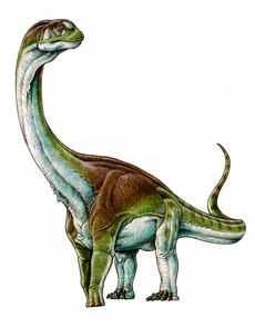Enormous dinosaur