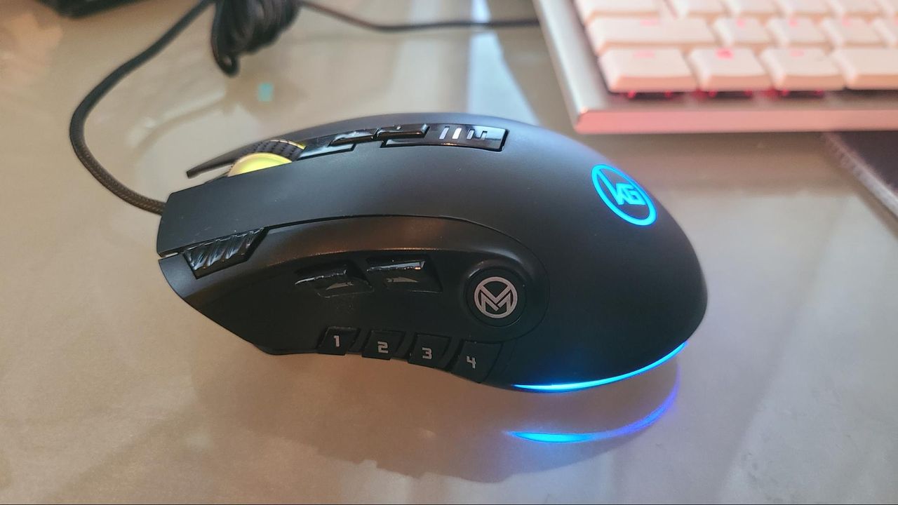 Iogear MMomentum Pro