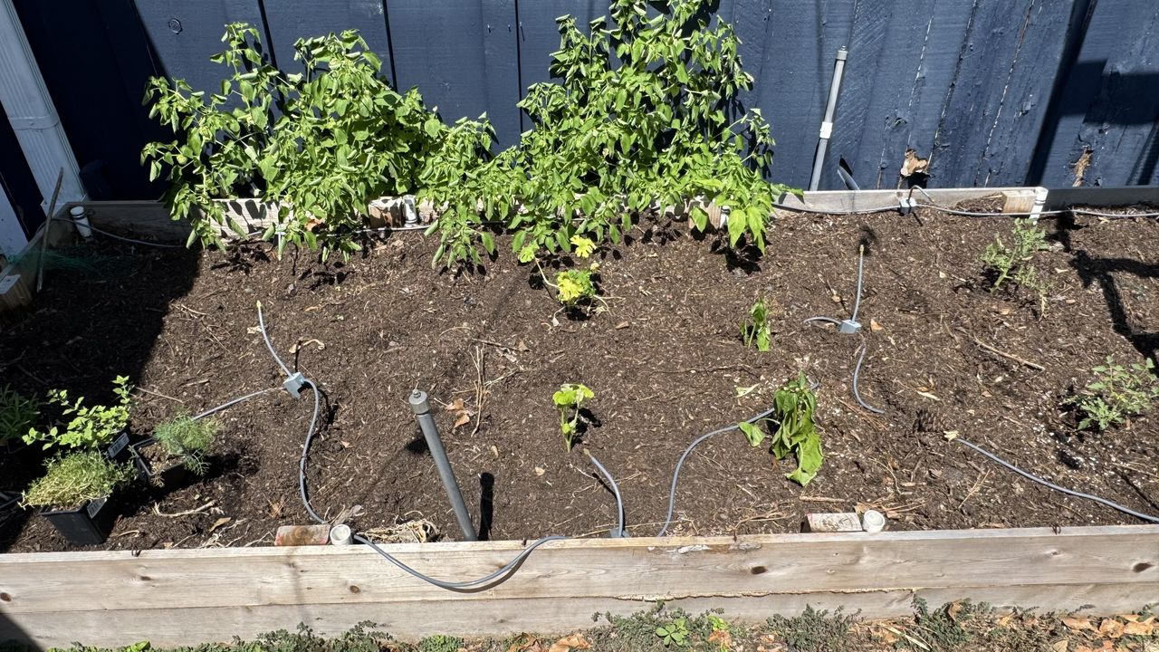 The Troy-Bilt Colt tiller performed beautifully in our garden bed.