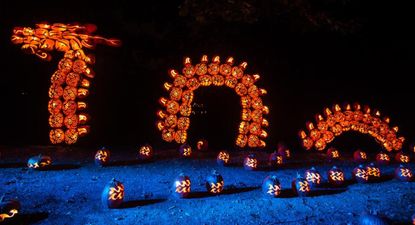 More than 5,000 jack o'lanterns light up this pumpkin extravaganza