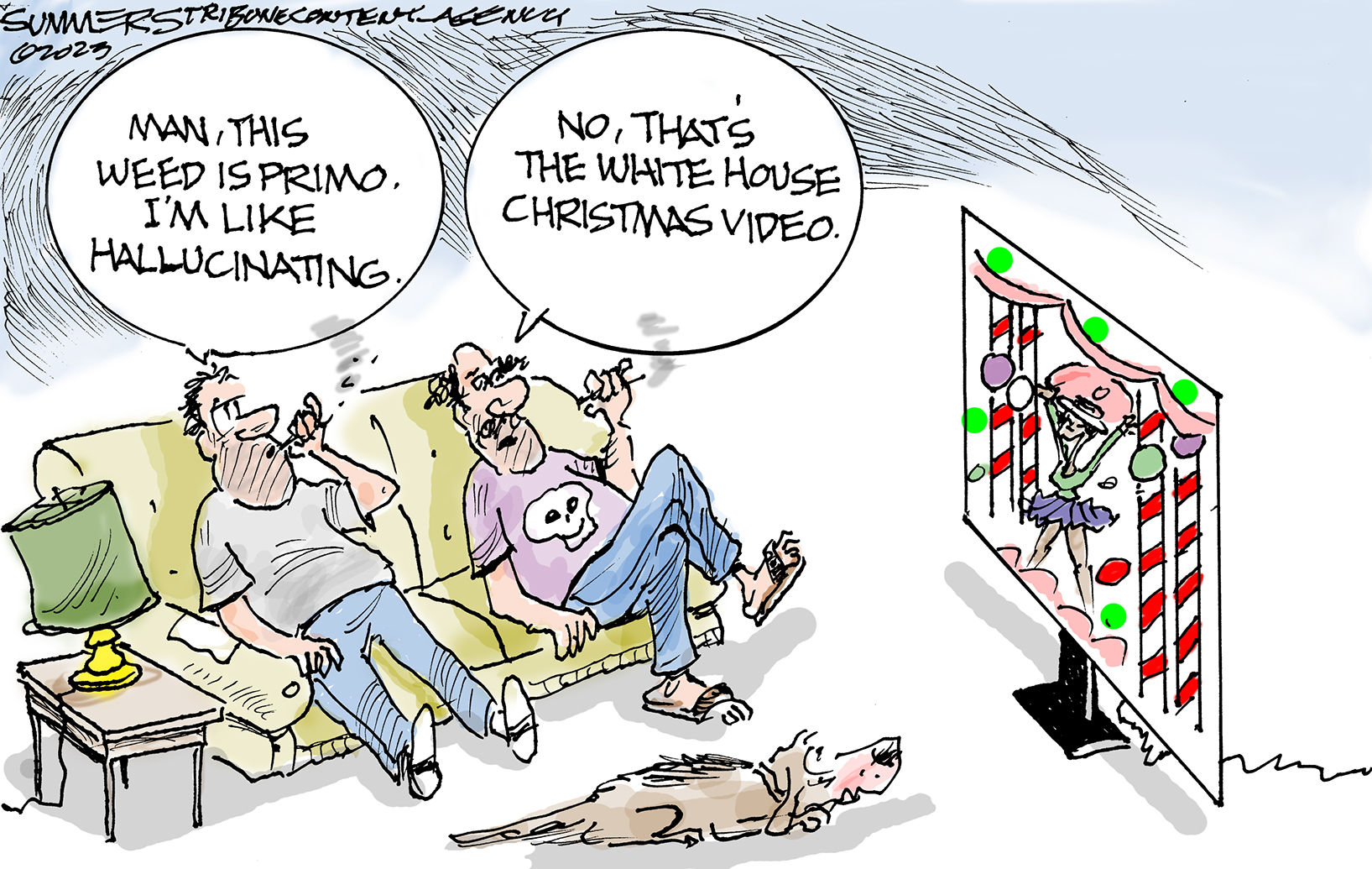 Political Cartoon