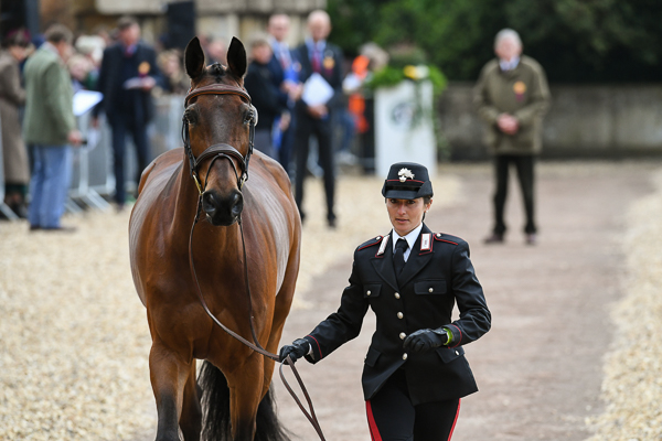Badminton trot-up fashion